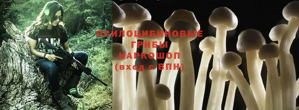 гашик Алексеевка
