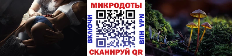 Галлюциногенные грибы Psilocybine cubensis  Борзя 